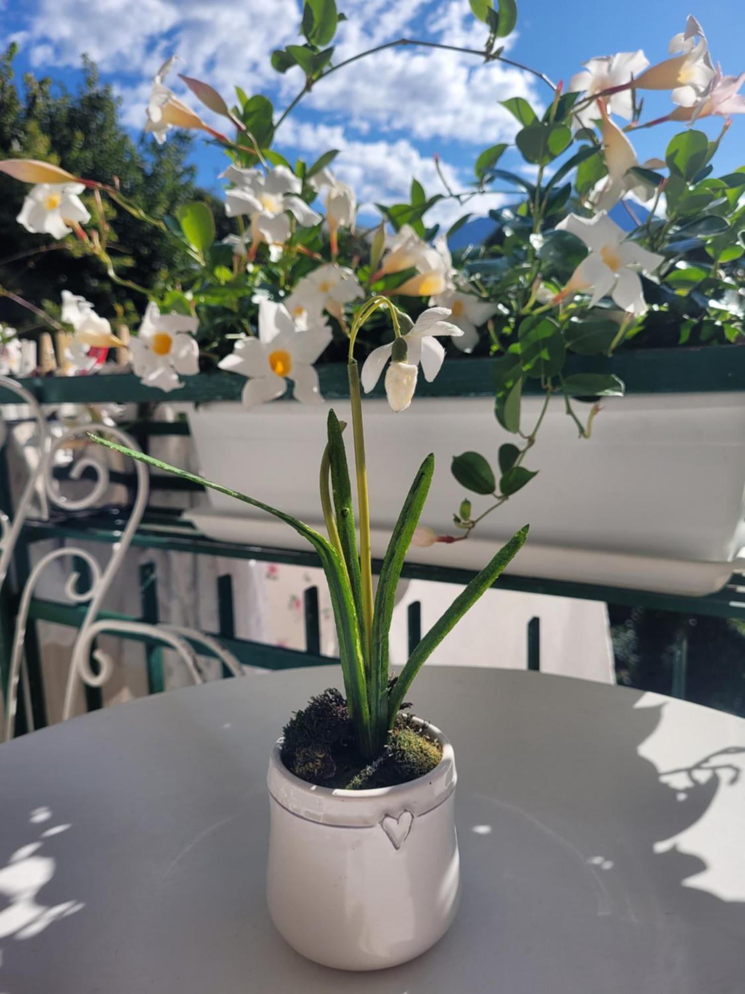B&B Dal Nonno Riva del Garda Dış mekan fotoğraf