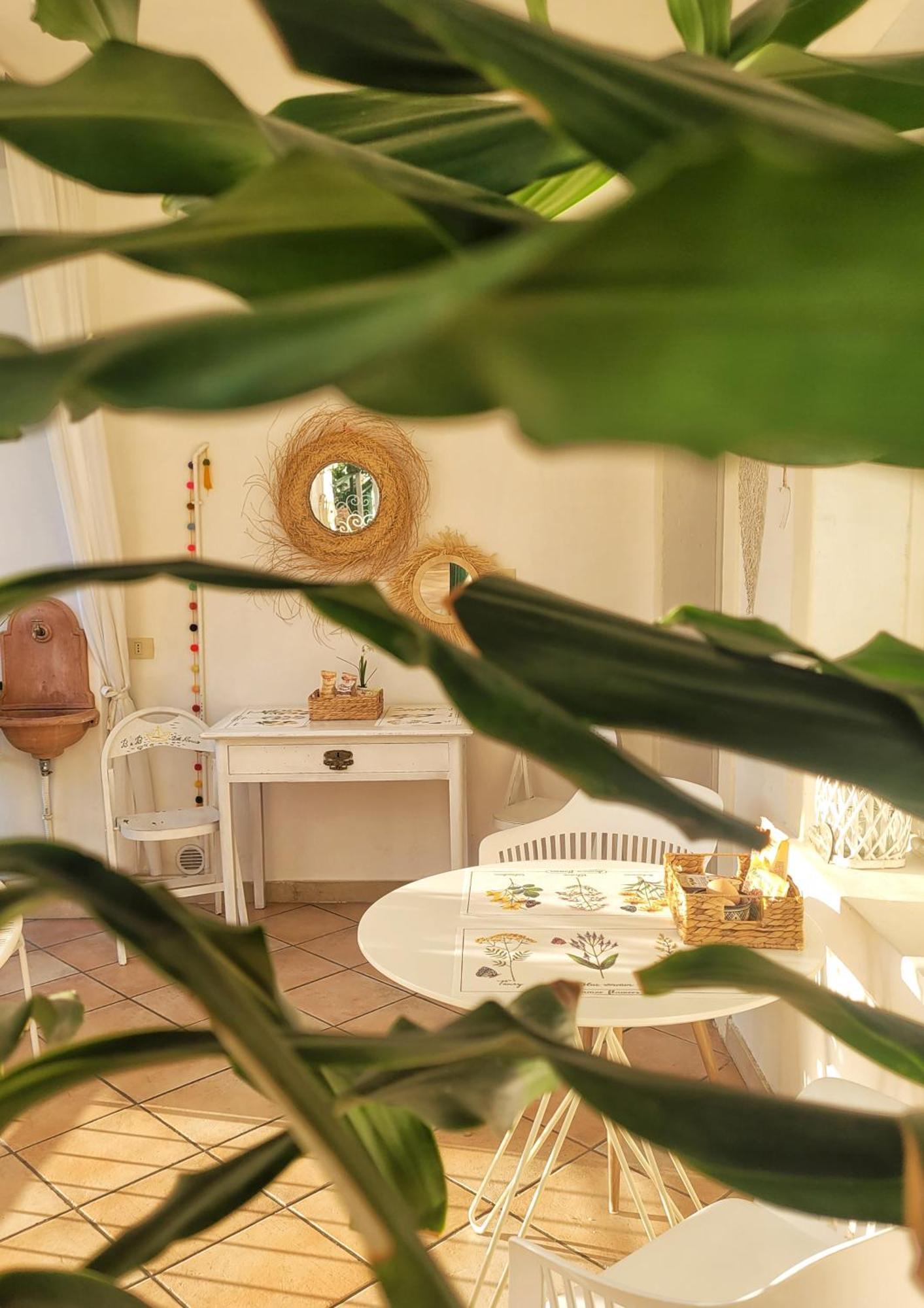 B&B Dal Nonno Riva del Garda Dış mekan fotoğraf
