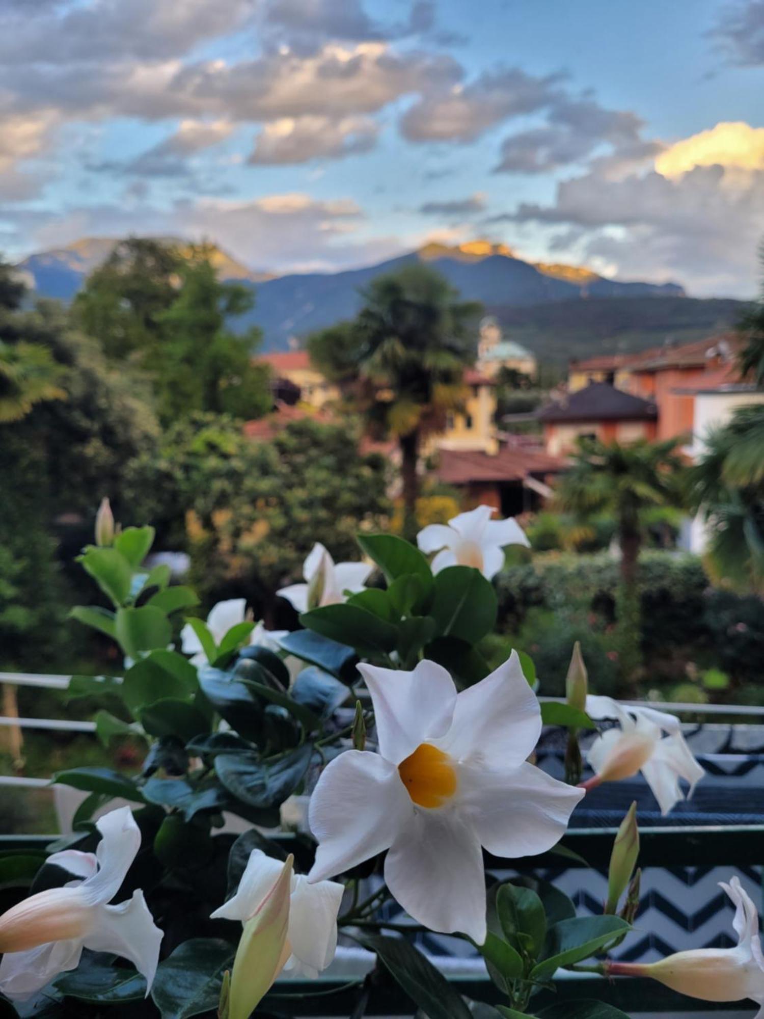 B&B Dal Nonno Riva del Garda Dış mekan fotoğraf