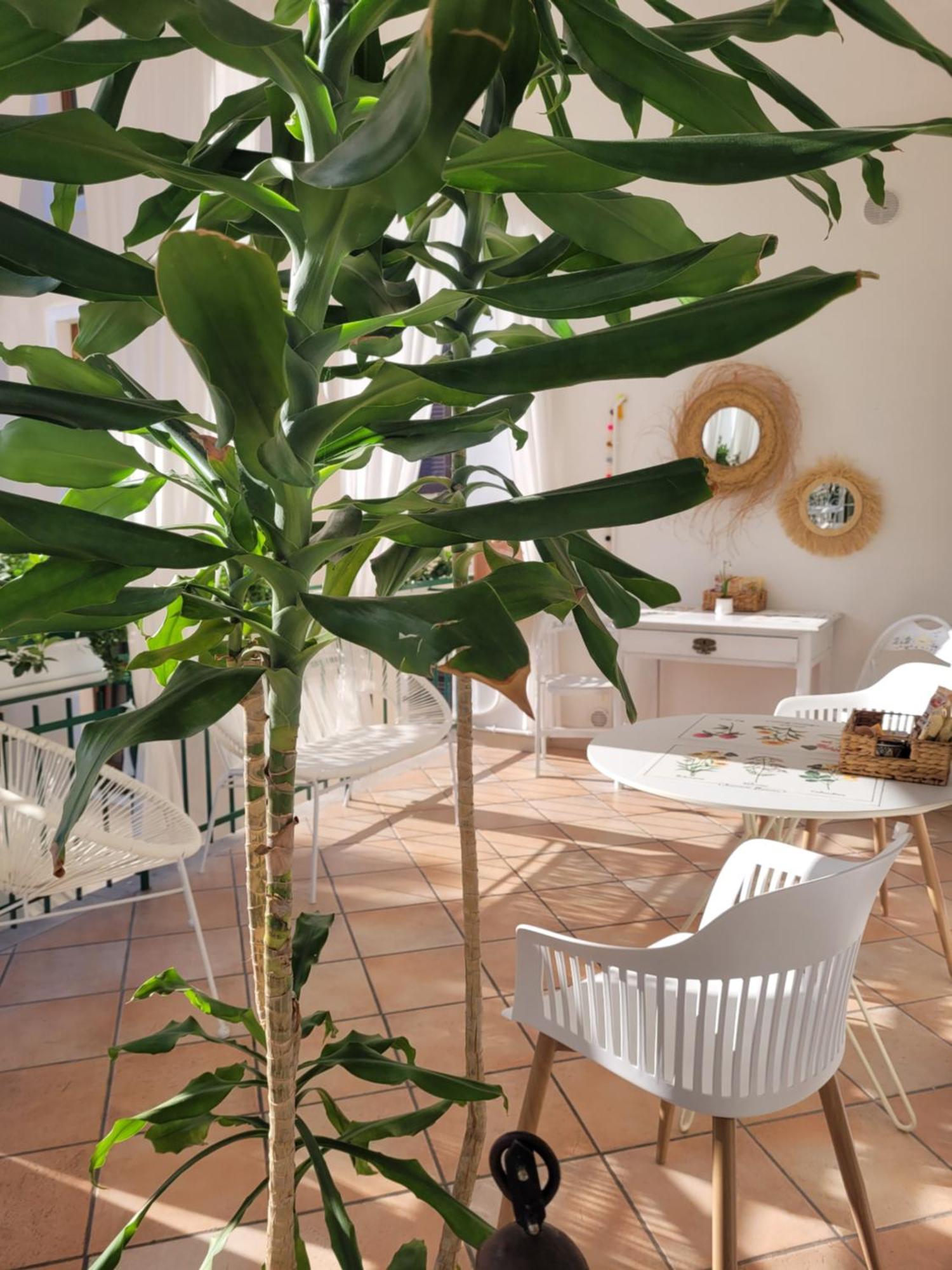 B&B Dal Nonno Riva del Garda Dış mekan fotoğraf